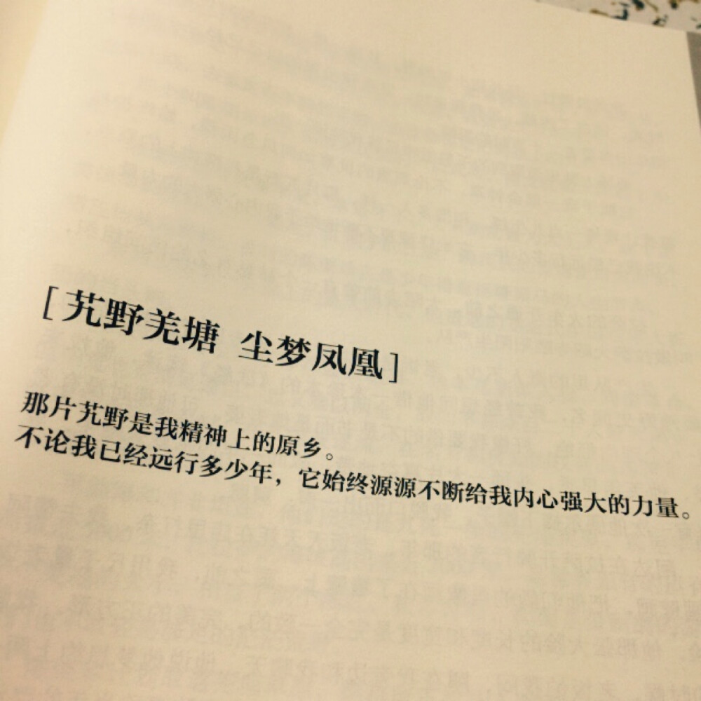 远离尘嚣的 那些圣地 逐渐染上尘埃