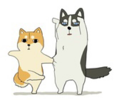 猫猫狗狗，傻傻分不清楚