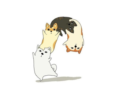 猫猫狗狗，傻傻分不清楚