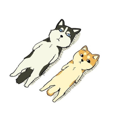 猫猫狗狗，傻傻分不清楚
