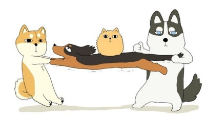 猫猫狗狗，傻傻分不清楚
