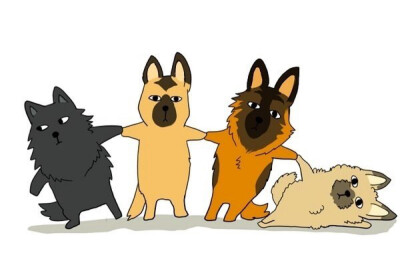 猫猫狗狗，傻傻分不清楚