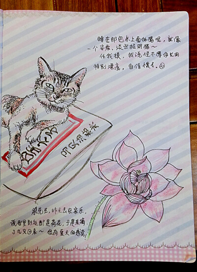 猫々画的挺好玩，真的像只招财猫