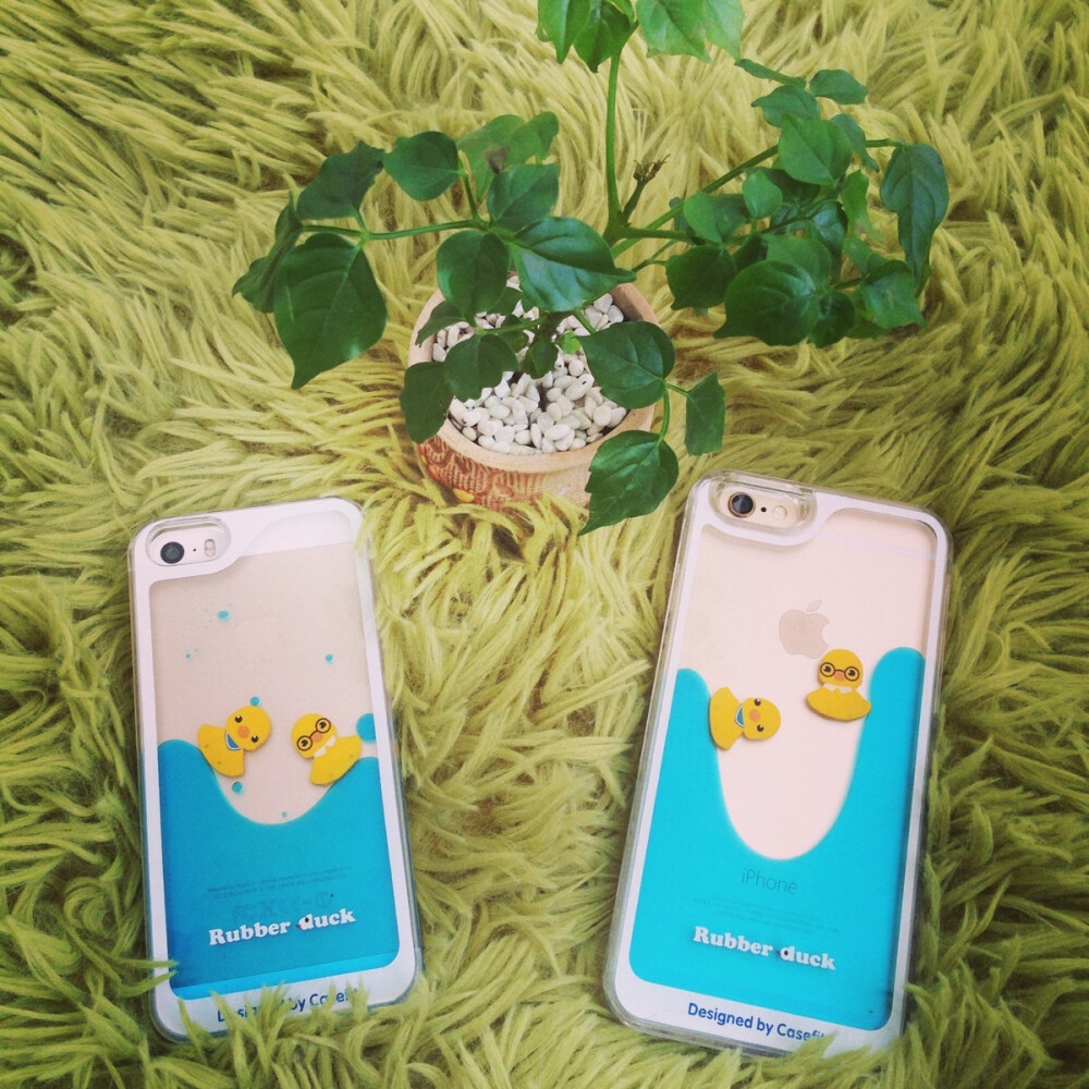 炒鸡可爱 和夹心一人一个