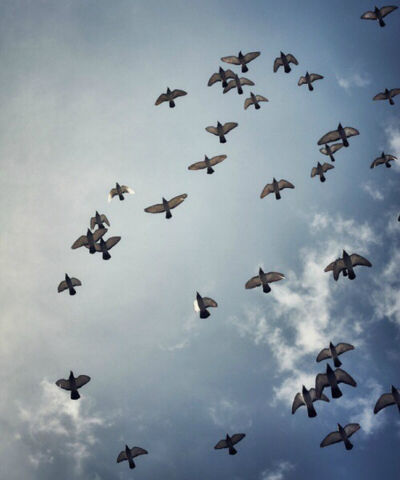 壁纸☀因为曾经拼命爱过所以分开会难过