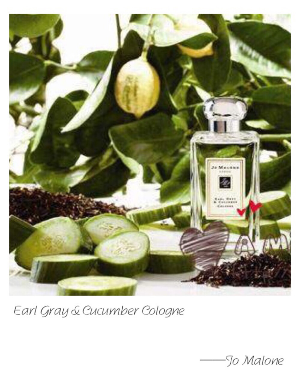 Jo Malone C Earl Grey &amp;amp; Cucumber Cologne Top: Bergamot Heart: Cucumber Base: Beeswax A fragrance with a burst of bergamot, distinct to Earl Grey, and the cool succulence of crunchy cucumber. Counterpoised with a sweet base of beeswax, vanilla and musk. Reviving and refined.