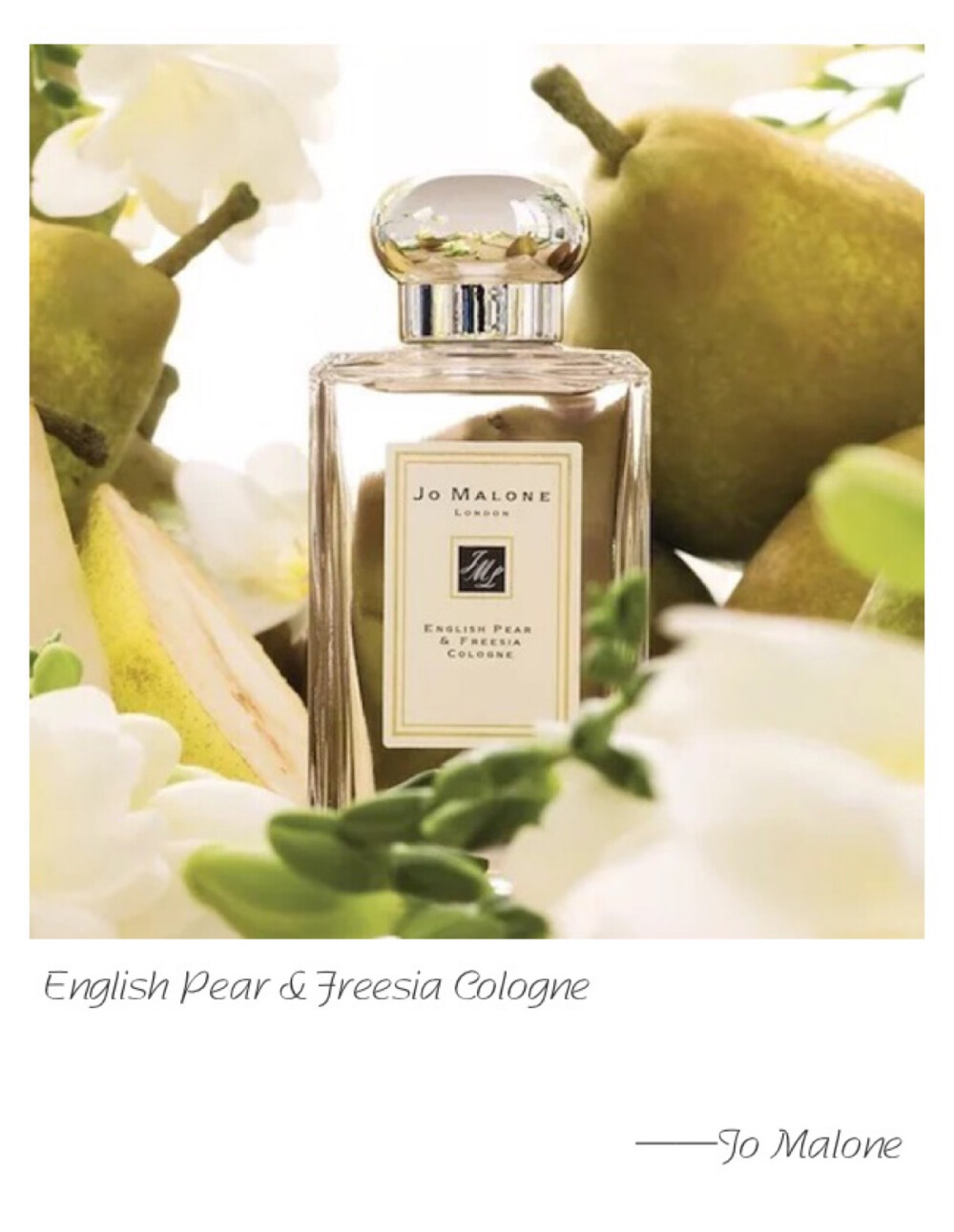 Jo Malone F English Peer &amp;amp; Freesia Cologne Top Note: King William Pear Heart Note: Freesia Base Note: Patchouli The essence of autumn. The sensuous freshness of just-ripe pears is wrapped in a bouquet of white freesias, mellowed by amber, patchouli and woods. Luscious and golden.