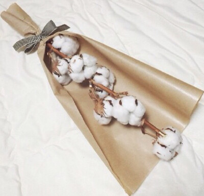 棉花