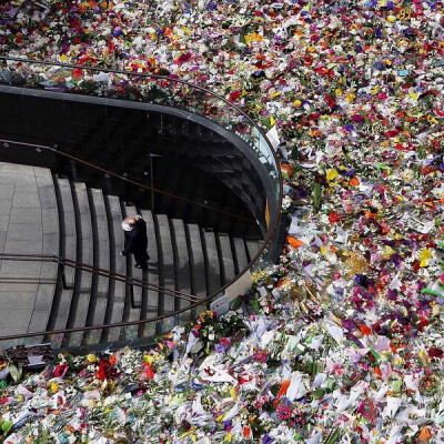 【ins】A man arrives with a bunch of flowers in Martin Place, to pay tribute to the two victims of the siege in Sydney, Dec. 18, 2014.