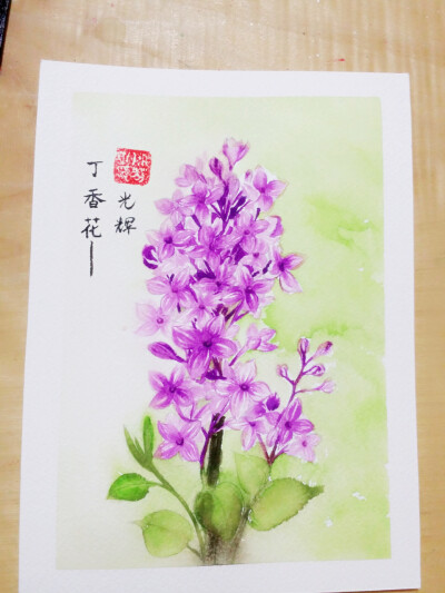 丁香花