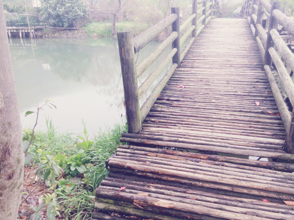 阴雨连绵，抽空走走，总有不一样的风景在身边。