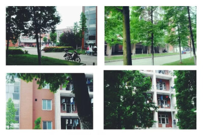 男生宿舍楼下。