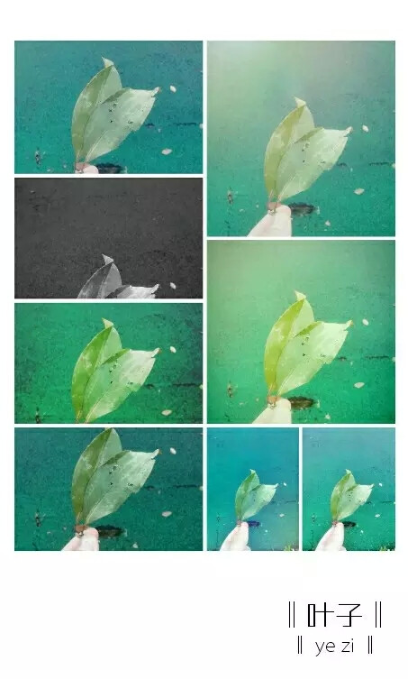 羡慕可以南飞的雁。