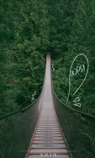 森林，吊桥