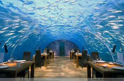 马尔代夫的海底餐厅（ Ithaa Undersea Restaurant ） 该餐厅位于希尔顿度假酒店（the Conrad Maldives Rangali Island），在海平面以下6米处。外层是透明的有机玻璃，可容纳12人同时就餐。餐厅只提供午餐和晚餐，从…