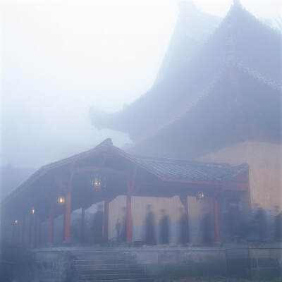 张望为了能够拍出最真实的佛寺生活,他长住在佛寺九年之久.我想正因为如此,他才能拍出真正的佛寺韵味来