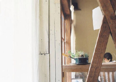 日本感の照片 多肉