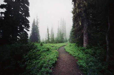 美国华盛顿，雷尼尔山