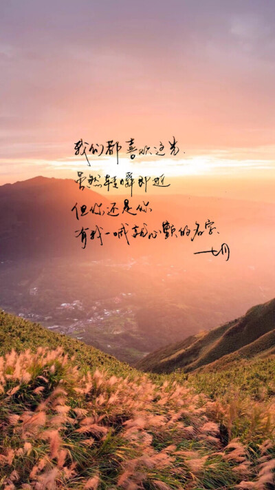 手写 明信片 高清 暖心语录 练字 书法 唯美 意境 文艺 文字 句子 文字控 七月手写 壁纸 原创壁纸