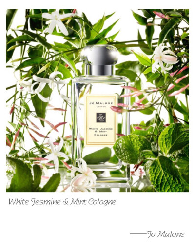 Jo Malone FLL White Jesmine &amp;amp; Mint Cologne Top-Mint Leaf Heart-Heirloom Jasmine Base-Maté Leaf A sun-drenched morning in an English country garden. Just-crushed wild mint adds a dash of eccent…