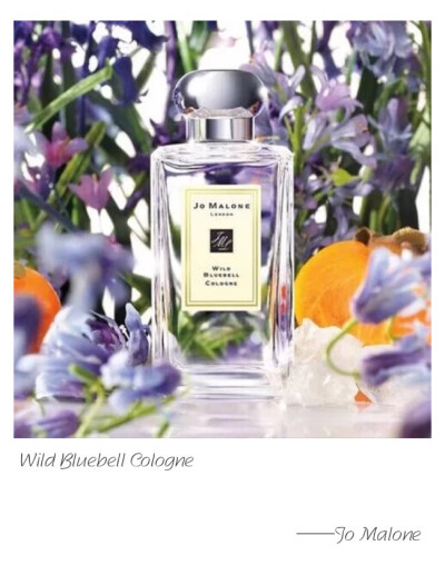 Jo Malone FLL Wild Bluebell Cologne Top-Bluebell, Heart-Persimmon, Base-White Musk. Vibrant sapphire blooms in a shaded woodland. The delicate sweetness of dewy bluebells suffused with lily of the va…