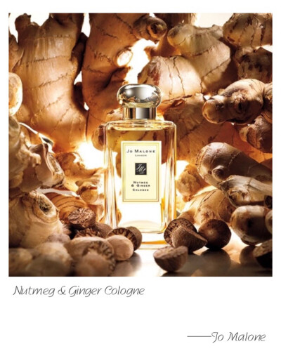 Jo Malone W Nutmeg &amp;amp; Ginger Cologne Top Note: Ginger Heart Note: Nutmeg Base Note: Sandalwood Our first fragrance. Sandalwood and cedarwood seasoned with nutmeg and vibrant ginger. Unexpected …