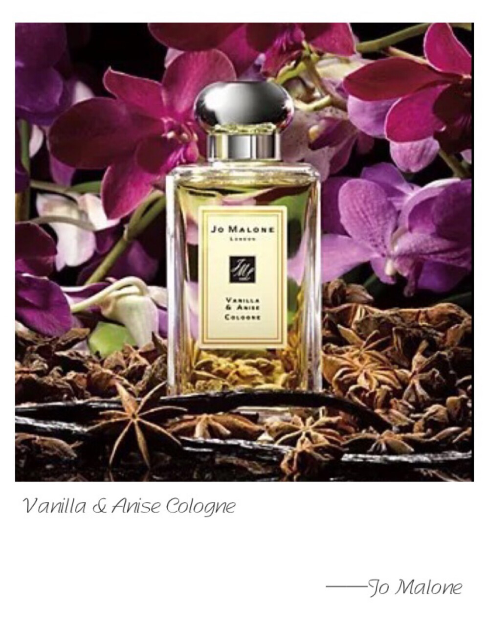 Jo Malone W Vanilla &amp;amp; Anise Cologne Base Note:Vanilla Bourbo Heart Note: Purple Vanilla Orchid base Note:Star Anise A modern story of vanilla. The fragile vanilla orchid forms the perfect counterpoint to the oaky caramel-rich vanilla bourbon, spiced with star anise. Warm and enveloping.