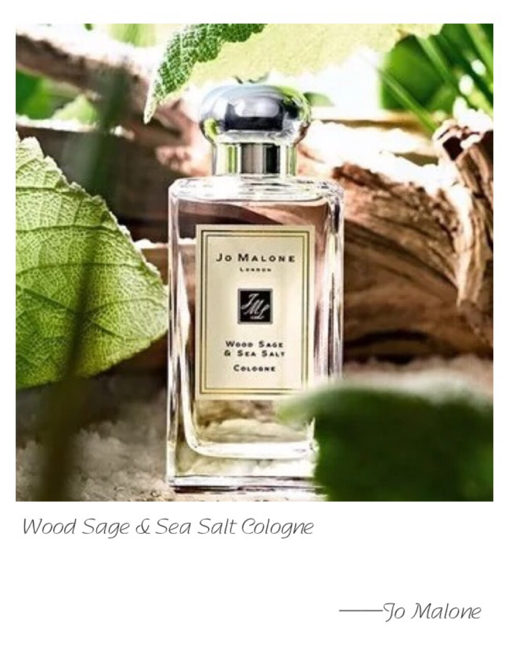 Jo Malone W Wood Sage &amp;amp; Sea Salt Cologne Top Note: Ambrette Seeds Heart Note: Sea Salt Base Note: Sage Escape the everyday along the windswept shore. Alive with the mineral scent of the rugged cliffs. Mingling with the woody earthiness of sage. Lively, spirited and totally joyful.