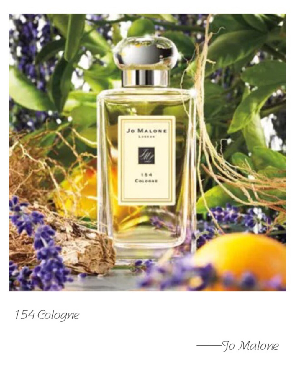 154 Cologne Top Note: Mandarin Orange Heart Note: English Lavende Base Note: Vetyver The street number of our first Jo Malone™ Boutique in London. Mandarin, grapefruit, lavender, basil, nutmeg and vetiver. Eclectic.