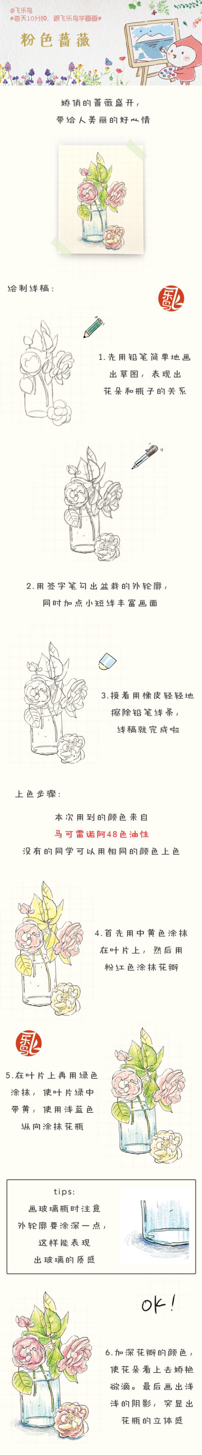 飞乐鸟彩铅绘画教程 侵删