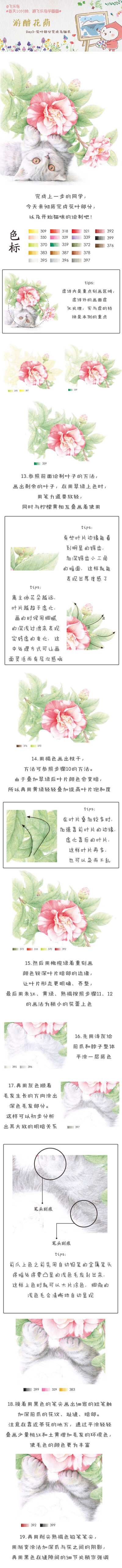 飞乐鸟彩铅绘画教程 侵删