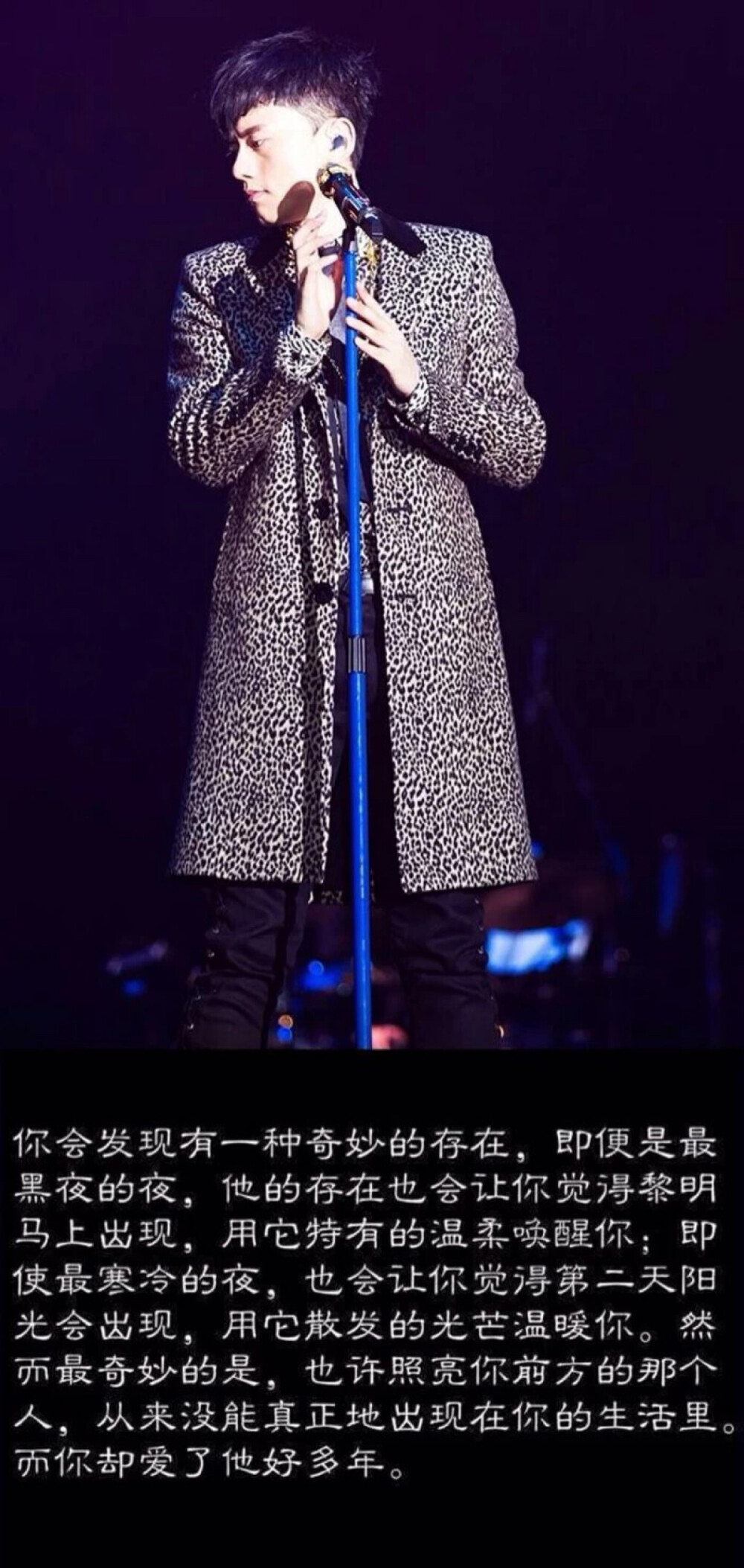 张杰 巡演 文字