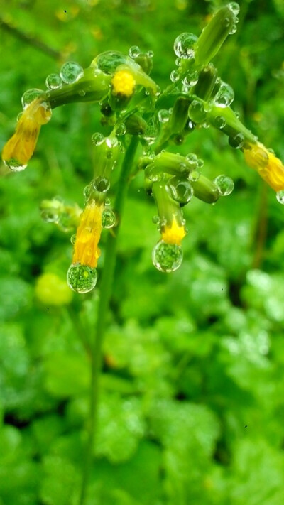 下雨天……