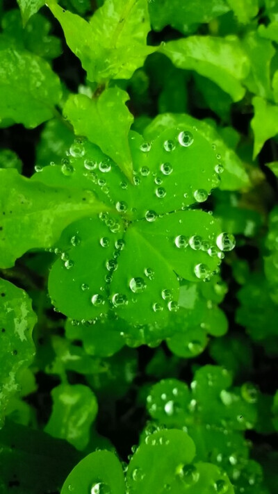 下雨天……