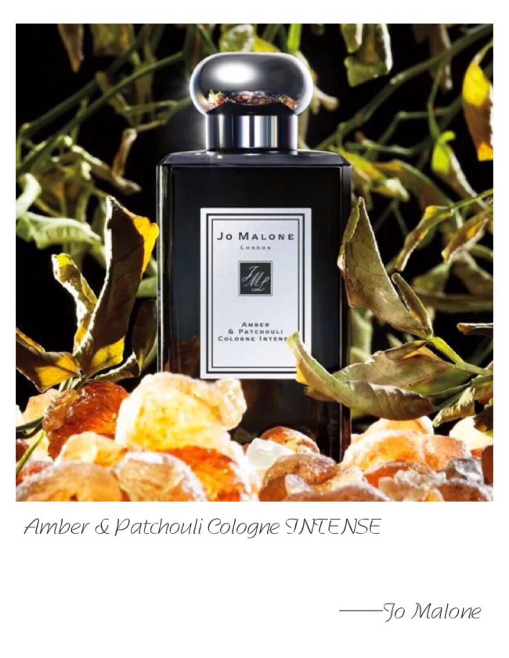 Jo Malone I Amber &amp;amp; Patchouli Cologne Intense Top Note: Coriander Seed Heart Note: Guaiac wood Base Note: Amber The opulence of amber. An exotic union of this legendary ingredient and sensuous patchouli, with its supple, suede-like finish. Seductive.