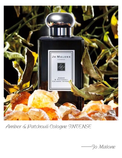 Jo Malone I Amber &amp;amp; Patchouli Cologne Intense Top Note: Coriander Seed Heart Note: Guaiac wood Base Note: Amber The opulence of amber. An exotic union of this legendary ingredient and sensuous…