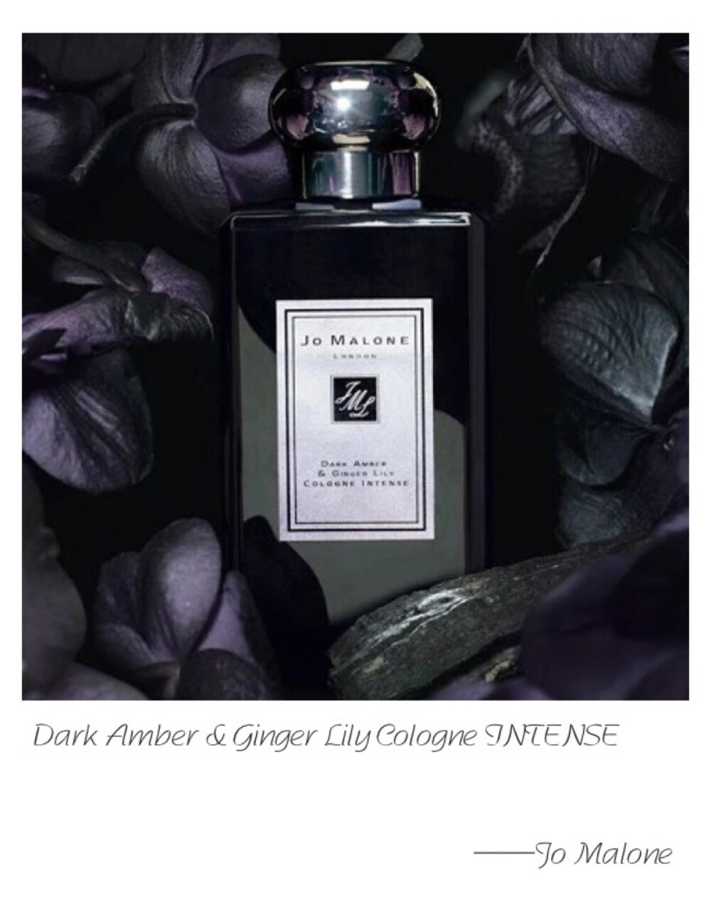 Jo Malone I Dark Amber &amp;amp; Ginger Lily Cologne Intense Top Note: Black Cardamom Heart Note: Black Orchid Base Note: Kyara Incense The rare kyara woodn enriched with amber and black orchid. Illuminated by the clean sensuality of black cardamom, ginger and water lily. Calm and relaxing.