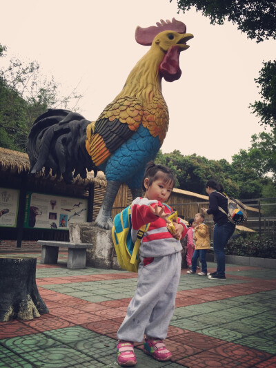 2015 0410 深圳野生动物园 亲子游 小二班