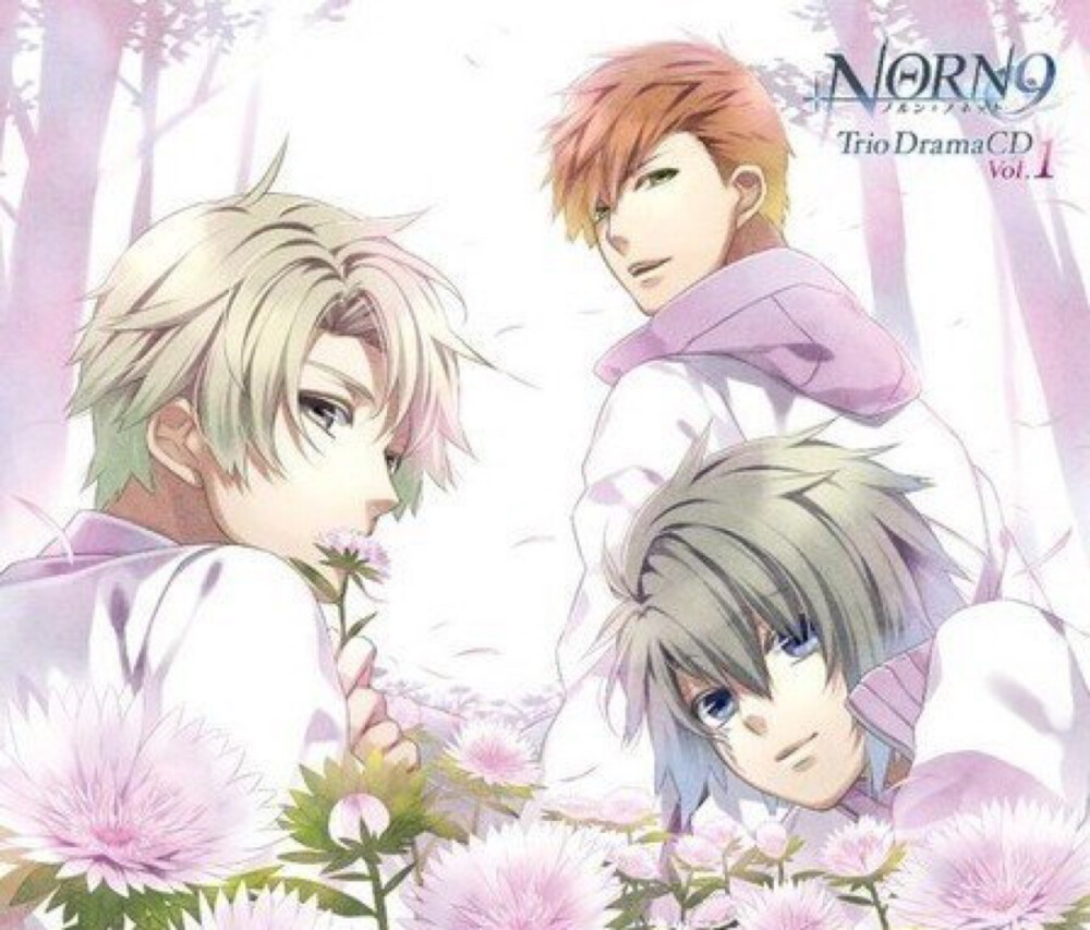 Norn9 CD 这个在多米可以找到