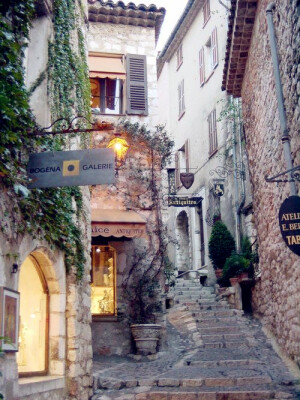 St. Paul de Vence, France。法国圣保罗·德旺斯，位于戛纳和尼斯之间地中海边绵延山脉一道舒缓弧线的顶端，这个建筑于山顶之上的村镇，给人一种筑在树上的鸟巢的感觉，是典型的“鹫巢树”。古城被中世纪建筑物及城墙所包围，城墙内侧的小路正好环绕小镇一圈。在这个鹫巢般小镇的中心地带有一所建于12世纪的圣保罗教堂，教堂的钟楼，是古城的最高点。古城现在仍遗留着16世纪的街道，在迷宫似的弯弯曲曲的道路两旁，依山势排列着一幢幢中世纪建筑物，散发着古朴的气息。