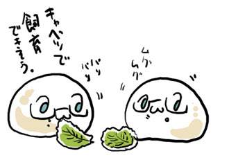 米团 侵删