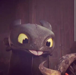 [驯龙高手]toothless