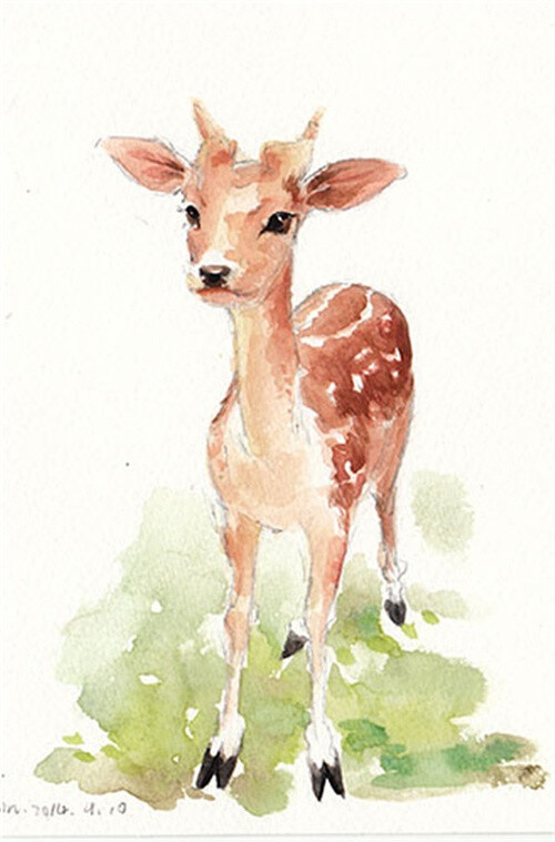 手绘水彩动物小鹿