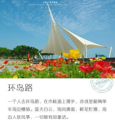 #厦门生活# 【在厦门一个人必去的9个地方】 厦门，即文艺，也古老。沙坡尾、八市、龙舟池的古老，诉说着这座城的故事。厦门大学、环岛路、华新路的文艺，使人觉得老旧却不呆板。遇见这样一座城，没有理由不爱它。