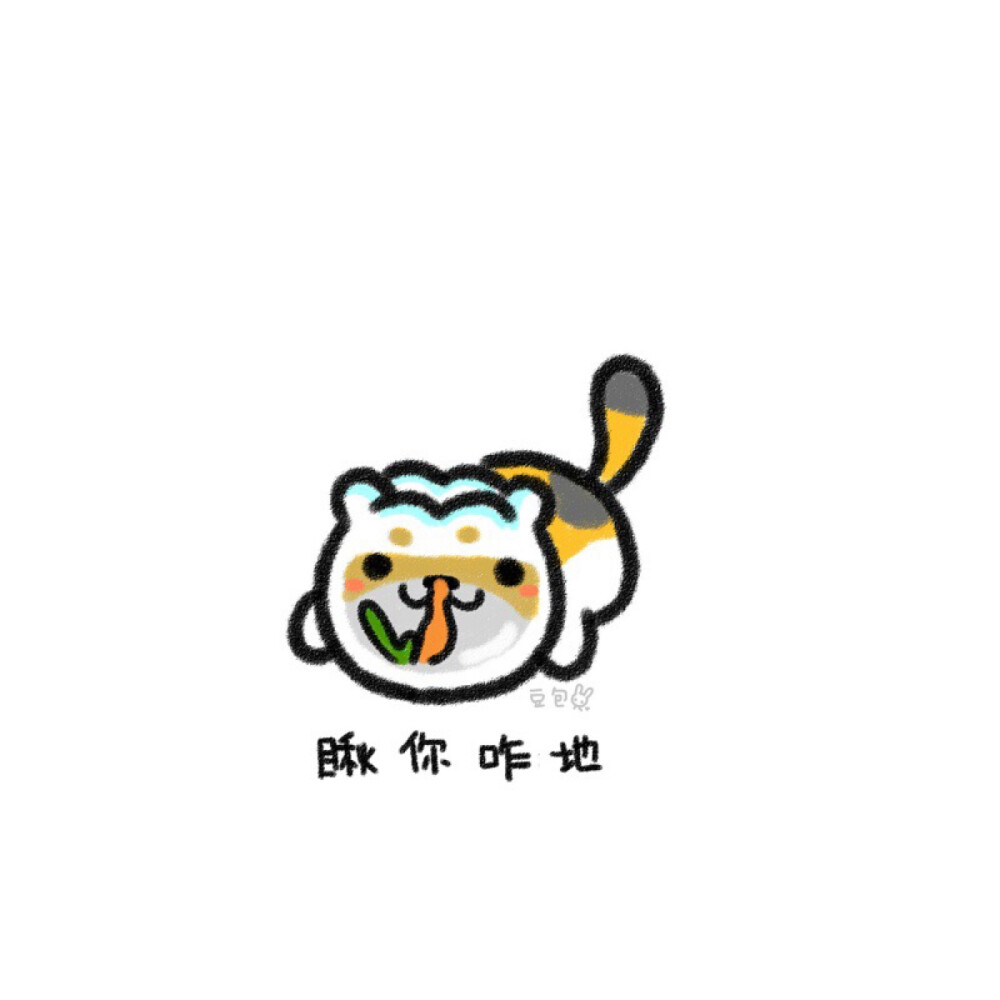 猫咪后院头像