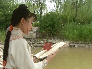 舒畅  孝庄秘史