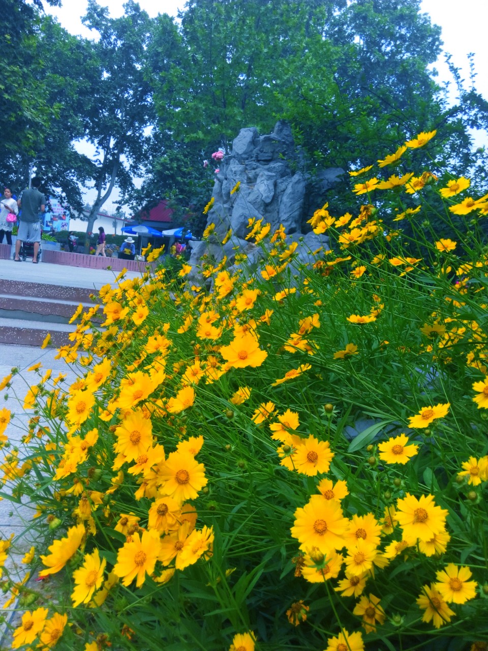 雨花石