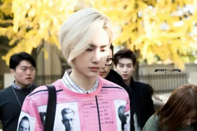 yibo