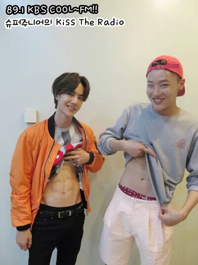 KBS abs