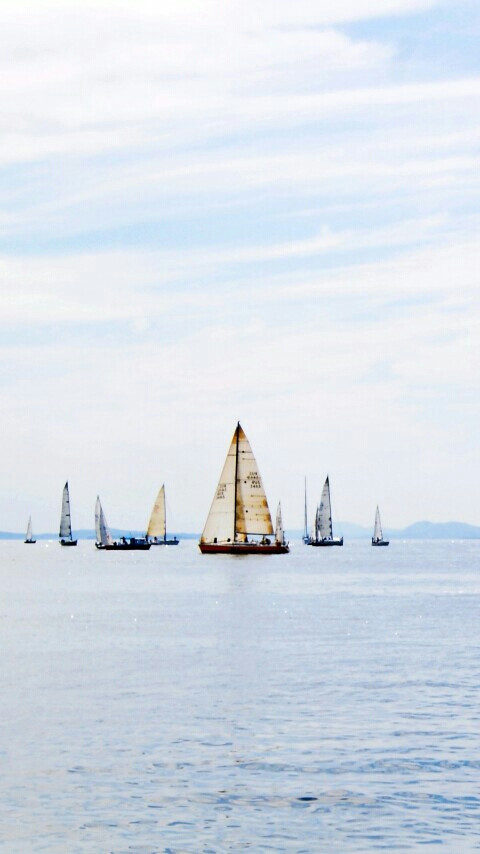 --表情无悲无喜的的沉默，是这种城市的符咒-